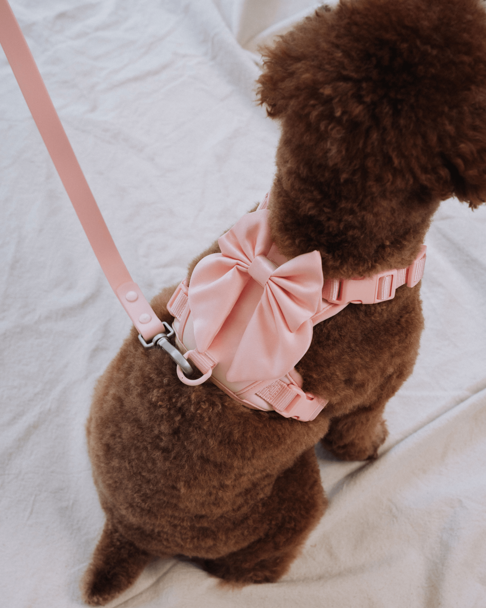 Satin Harness Bow - Blossom