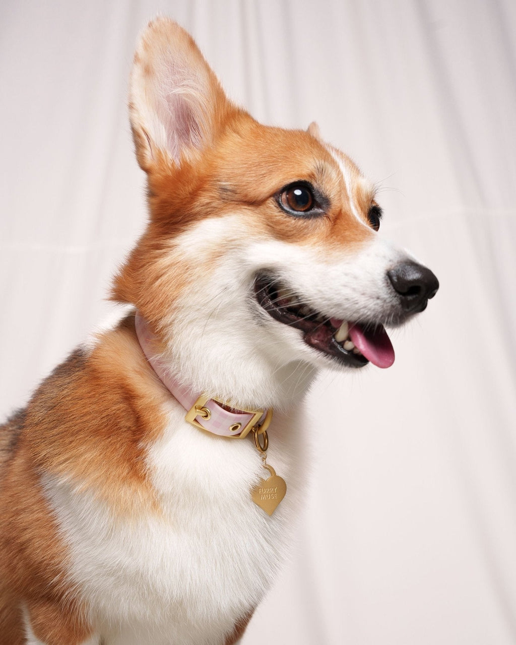 Wander! Collar 2.0 - Blossom Gingham
